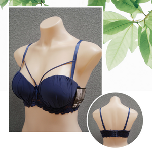 Brasier H0116